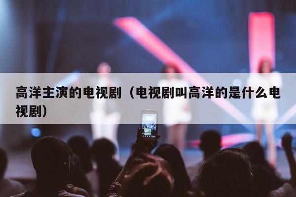 高洋主演的电视剧（电视剧叫高洋的是什么电视剧）