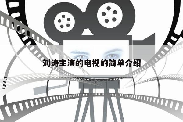 刘涛主演的电视的简单介绍