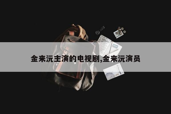 金来沅主演的电视剧,金来沅演员