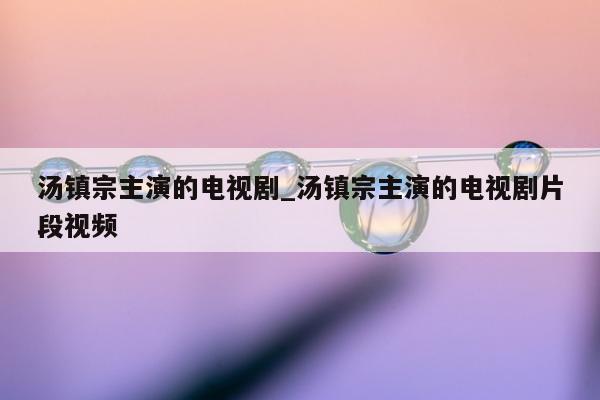 汤镇宗主演的电视剧_汤镇宗主演的电视剧片段视频