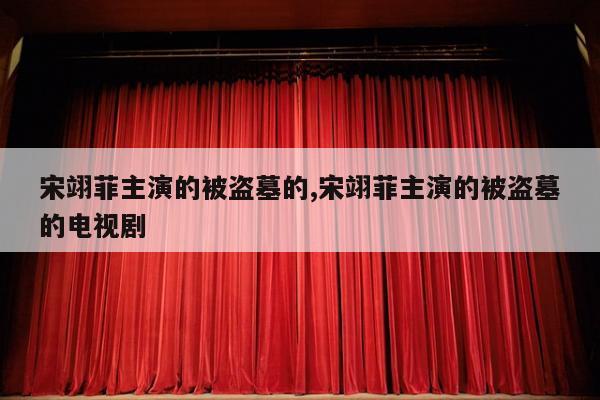 宋翊菲主演的被盗墓的,宋翊菲主演的被盗墓的电视剧