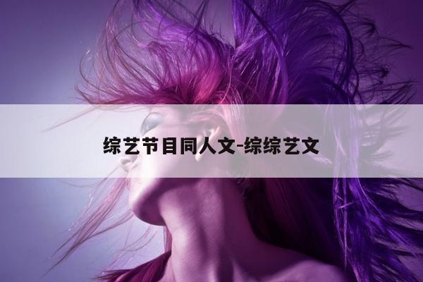 综艺节目同人文-综综艺文