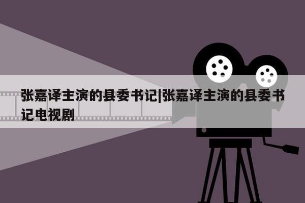 张嘉译主演的县委书记|张嘉译主演的县委书记电视剧