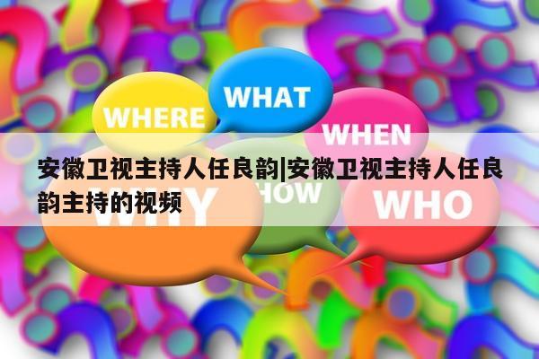 安徽卫视主持人任良韵|安徽卫视主持人任良韵主持的视频