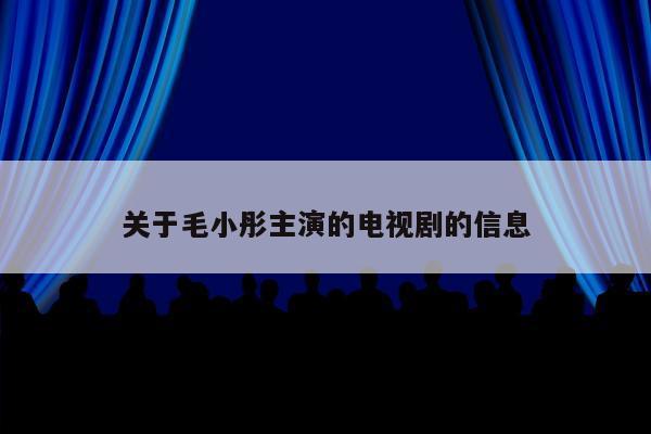 关于毛小彤主演的电视剧的信息