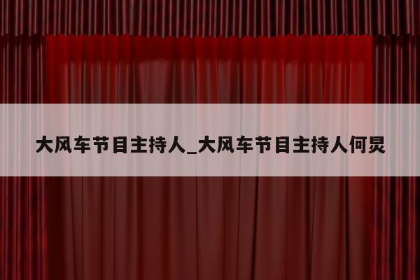 大风车节目主持人_大风车节目主持人何炅