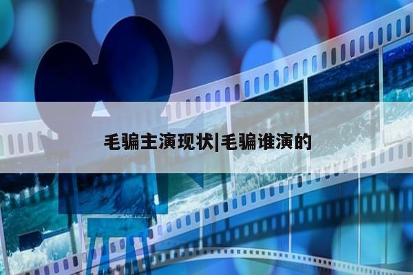 毛骗主演现状|毛骗谁演的