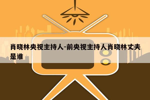 肖晓林央视主持人-前央视主持人肖晓林丈夫是谁