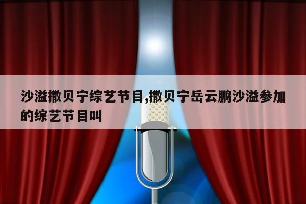 沙溢撒贝宁综艺节目,撒贝宁岳云鹏沙溢参加的综艺节目叫