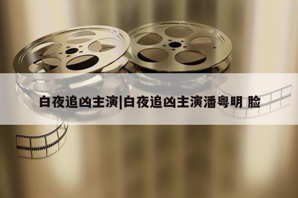 白夜追凶主演|白夜追凶主演潘粤明 脸