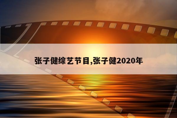 张子健综艺节目,张子健2020年