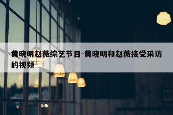 黄晓明赵薇综艺节目-黄晓明和赵薇接受采访的视频