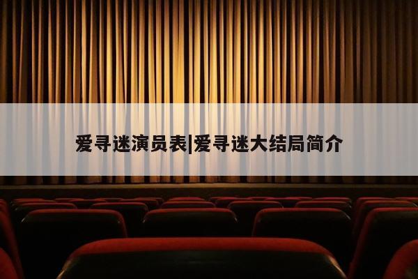 爱寻迷演员表|爱寻迷大结局简介