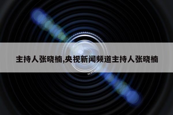 主持人张晓楠,央视新闻频道主持人张晓楠